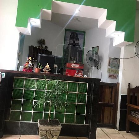 Green Monkey Hostel フローレス エクステリア 写真