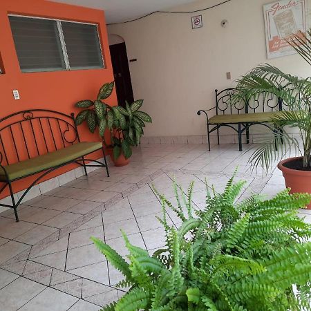 Green Monkey Hostel フローレス エクステリア 写真
