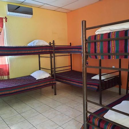 Green Monkey Hostel フローレス エクステリア 写真