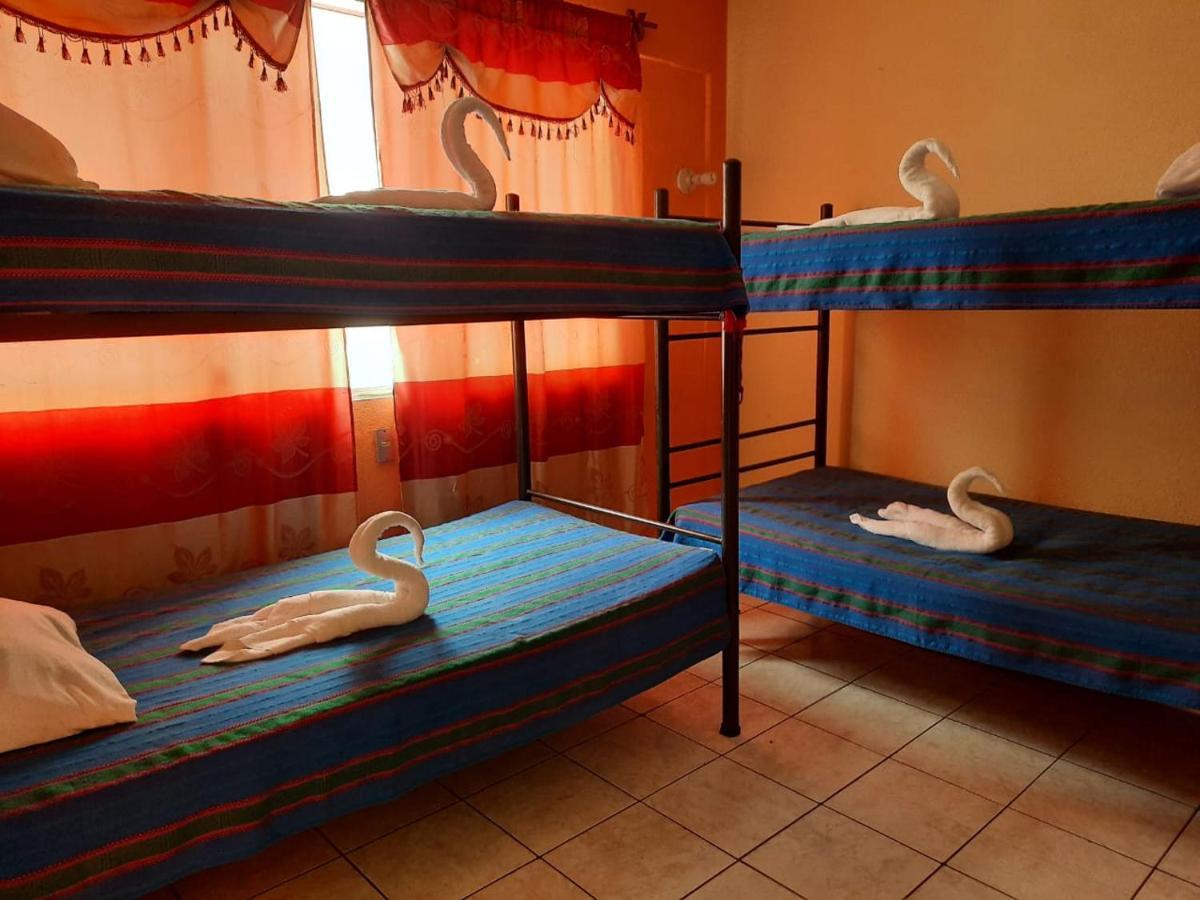 Green Monkey Hostel フローレス エクステリア 写真