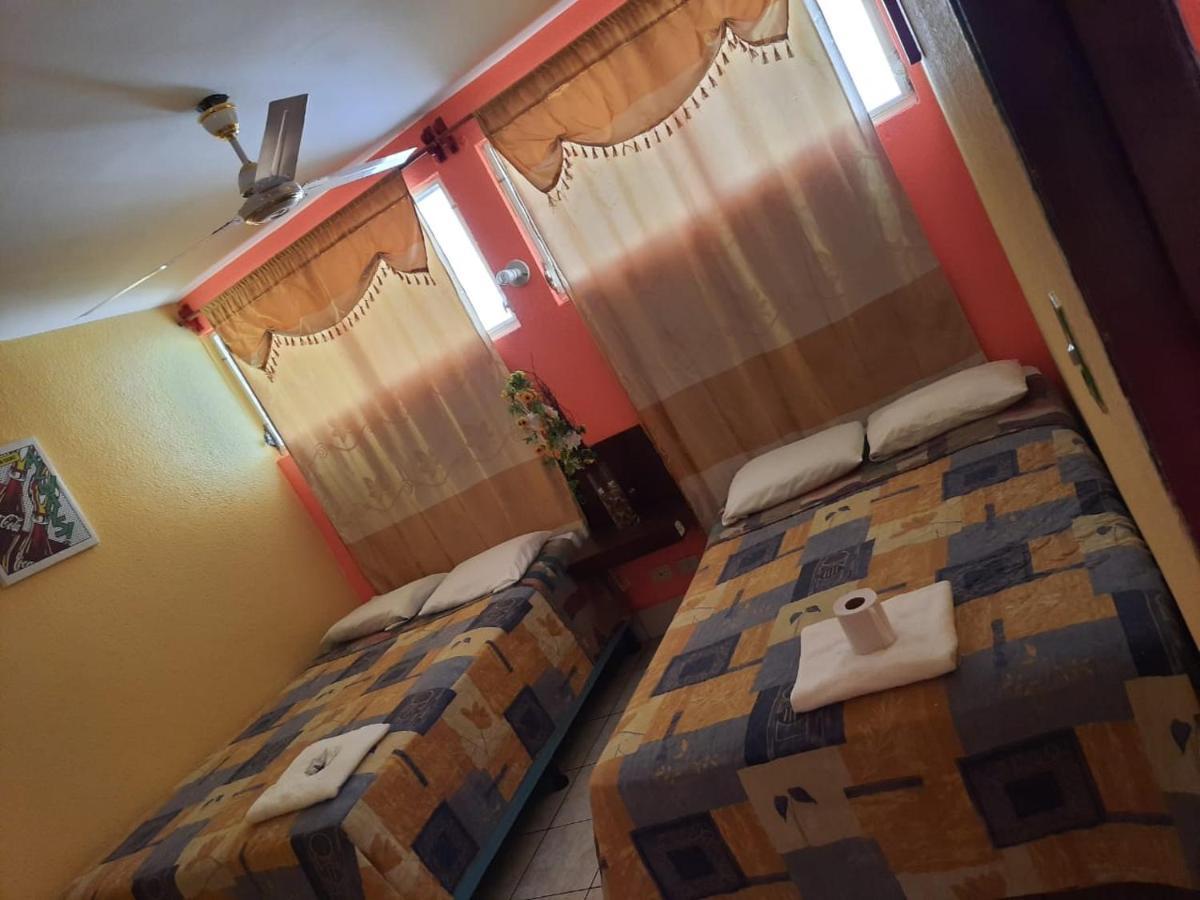 Green Monkey Hostel フローレス エクステリア 写真