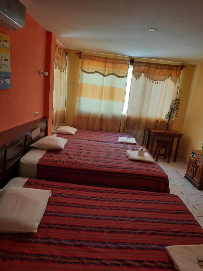 Green Monkey Hostel フローレス エクステリア 写真