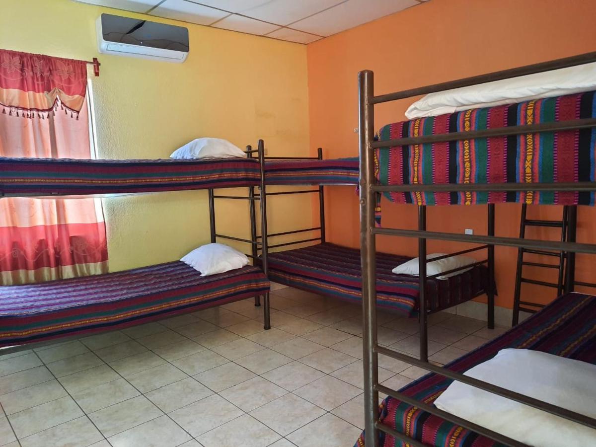Green Monkey Hostel フローレス エクステリア 写真